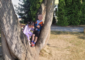 Zdjęcie 13 na 18